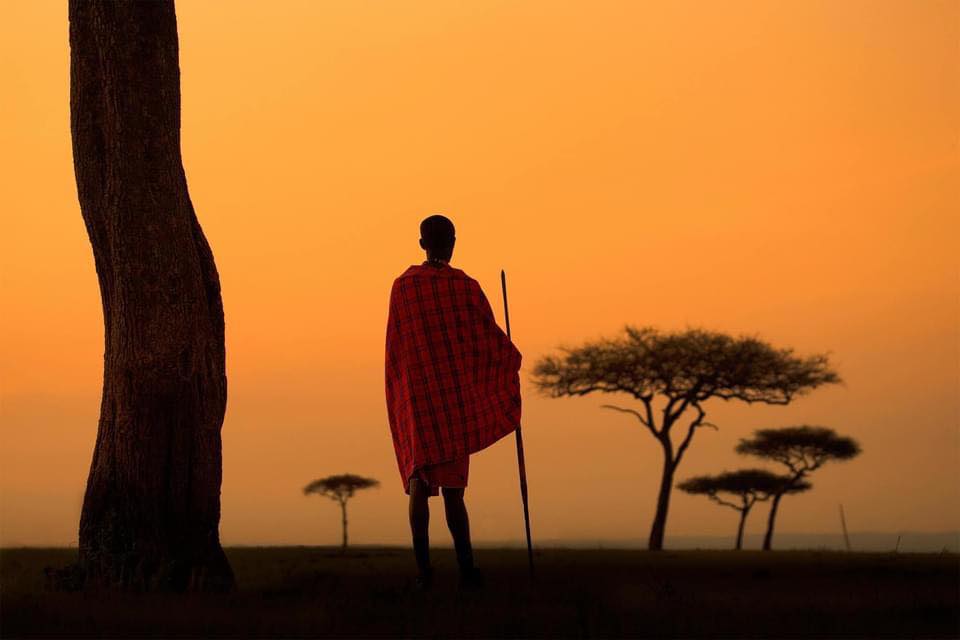 kenyan in the savanna